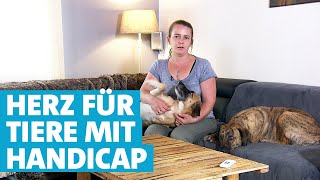 Daniela Gügel hat ein Herz für behinderte Tiere