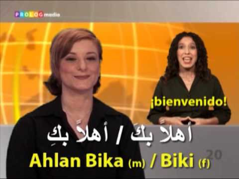 Learn Arabic with SPEAKit.tv (54011)