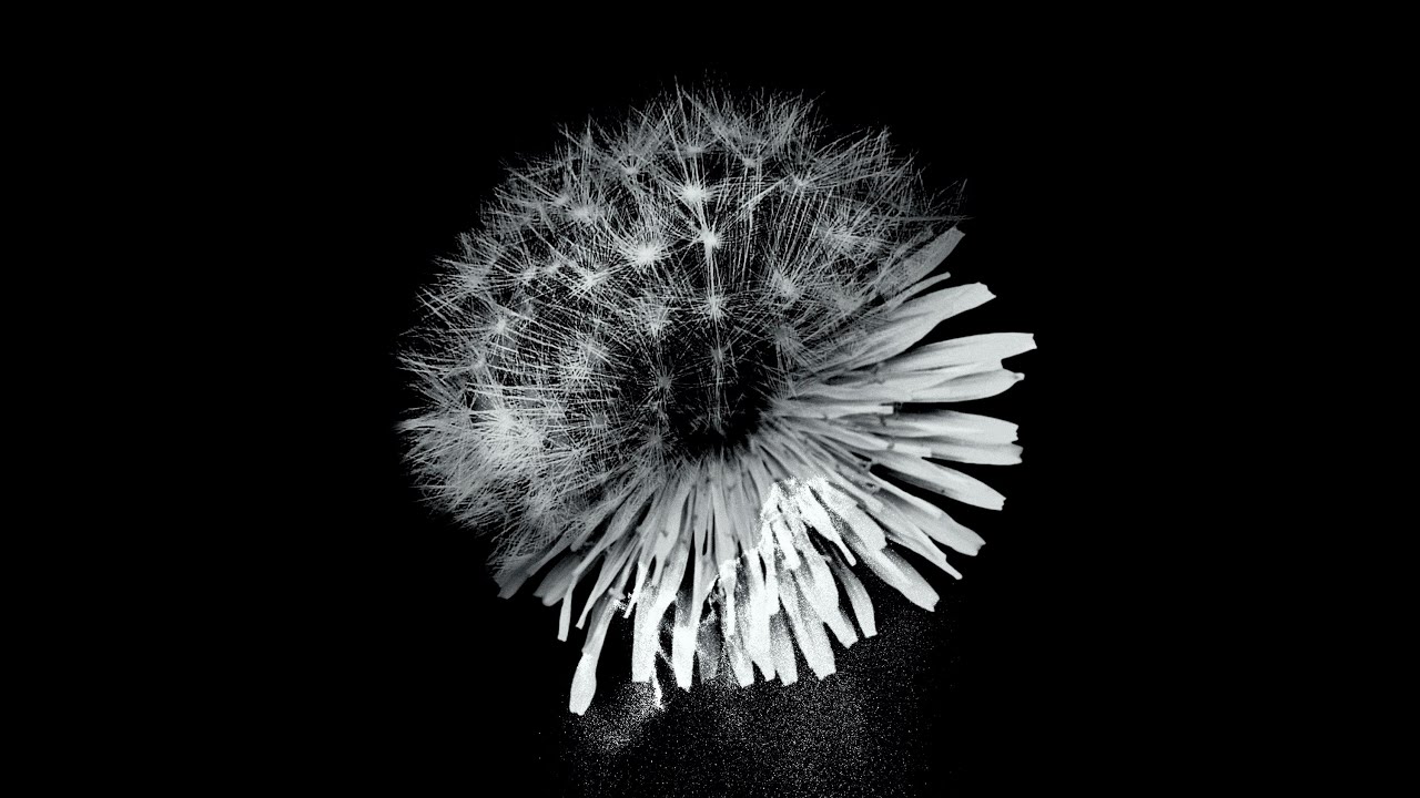 神はサイコロを振らない「タイムファクター」【Official Audio】