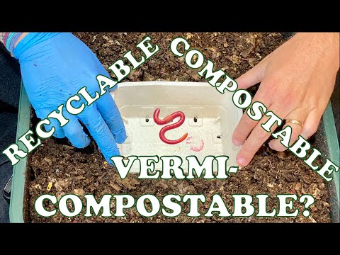 Label Says Recyclable & Compostable But Is It Vermi-Compostable? + Cocoon Nursery Checkin  Worm Farm