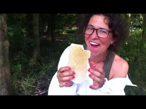 Oslungad honung, direkt från kupan!