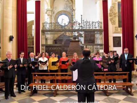 Gloria misa Quarti Toni. T. L. de Victoria