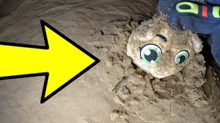 X-Findings in the Sandbox