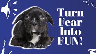 Helping Dogs Overcome Fear of Noises