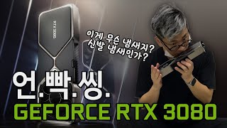 퀘이사존