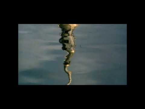 Stravinsky on praising God