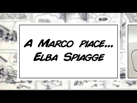 Beaches in Elba Video