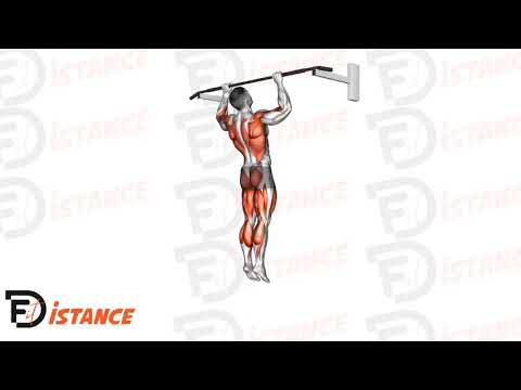 Exercice Tractions sautées