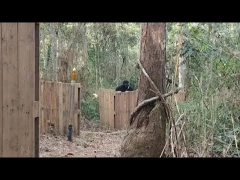 Airsoft em Arena Das Armas Reduto-MG 