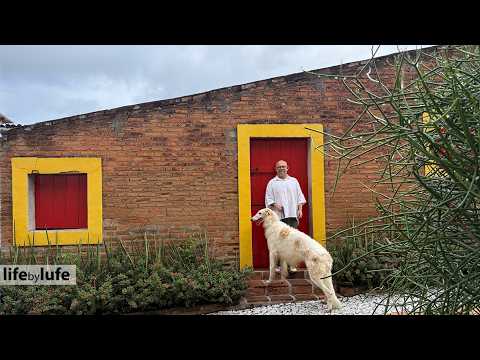 Brick House with Giant Garden Celebrates Brazilian Folk Art
