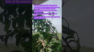 Download lagu #AwaaraHoon #RajKapoor #1950sBollywood #MukeshHits #GoldenEraSongs #OldIsGold #IndianClassics mp3 Download lagu #AwaaraHoon #RajKapoor #1950sBollywood #MukeshHits #GoldenEraSongs #OldIsGold #IndianClassics mp3