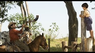 O Menino Da Porteira Lyrics English Translation