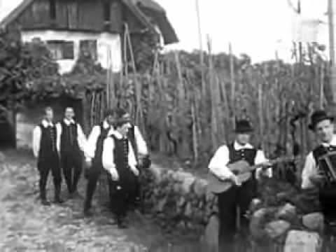 Lojze Slak - Vinska trta