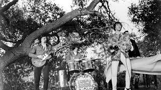 The Seeds - Two Fingers Pointed At You {1967}