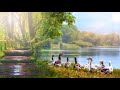 Soothing Relaxing Music Singing Birds Goose Sounds Calming Sounds
