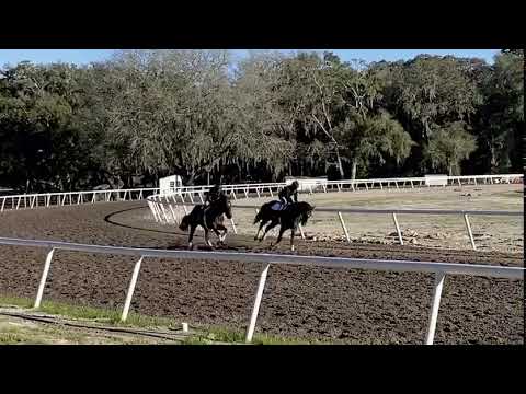 Empire Maker (inside) POTN