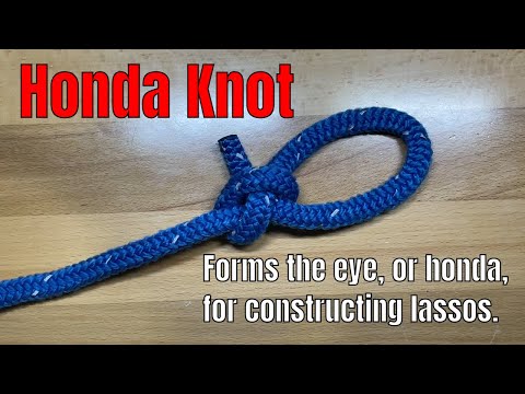 Honda Knot