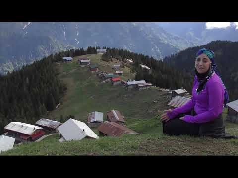 Özlem ÜNGÖR, Hani Sevduğum Hani