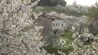 preview picture of video 'Valpolicella - Passeggiate in primavera'