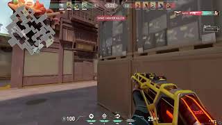 NEW SENS