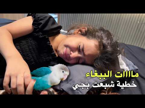 ماااات اللببغاء مالنا😱شبعنا بجي عليه 😢
