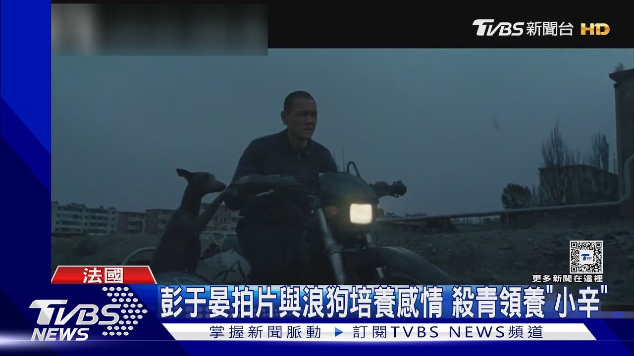 彭于晏愛犬奪坎城影展 「金棕櫚狗狗獎」帶旺劇組榮獲「一種關注大獎」