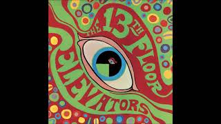 The 13th Floor Elevators - Monkey Island