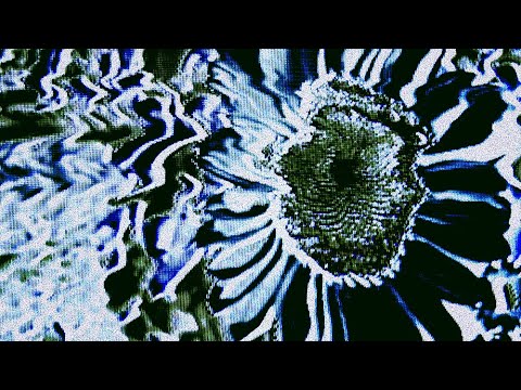 Boston Manor - Inertia