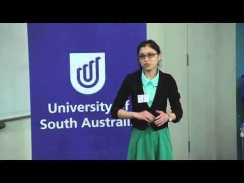 2013 3MT winning presentation by Demi Gao