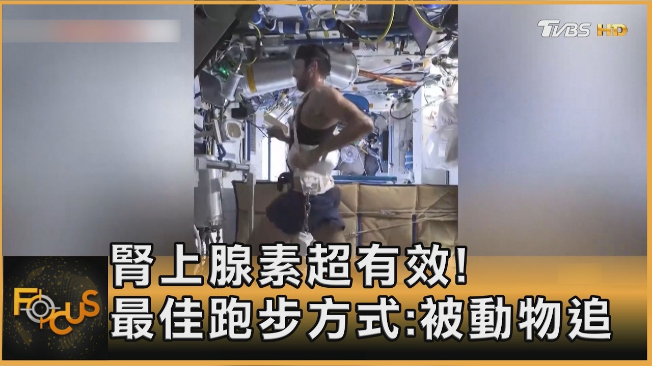 腎上腺素超有效！最佳跑步方式：被動物追
