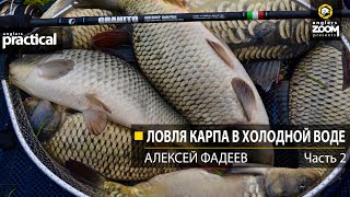 Запрещена ловля карпа на фидер с фадеевым