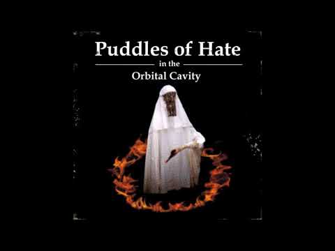 19. Sugar Shack Records - Puddles Of Hate In The Orbital Cavity [27.01.2016]