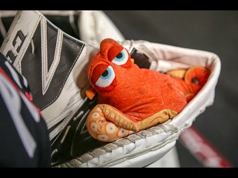 Tatabányai Polipok 2020 - éves összefoglaló