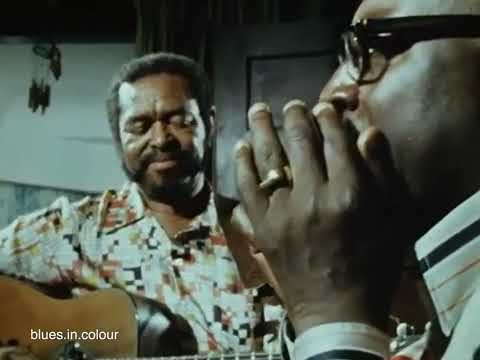 Sonny Terry & Brownie McGhee - live in 1972