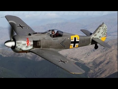 Wings of the Luftwaffe: Focke Wulf Fw-190