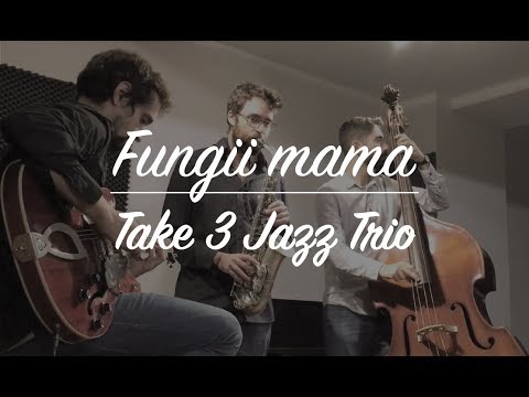 "Fungii Mama" - Take 3 Jazz Trio
