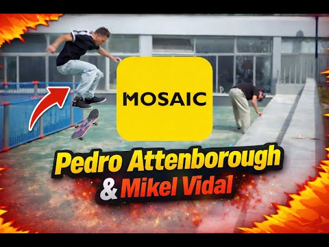 MOSAIC - MIKEL VIDAL, PEDRO ATTENBOROUGH