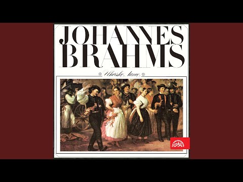 Hungarian Dances - Hungarian Dance No. 19. Allegretto