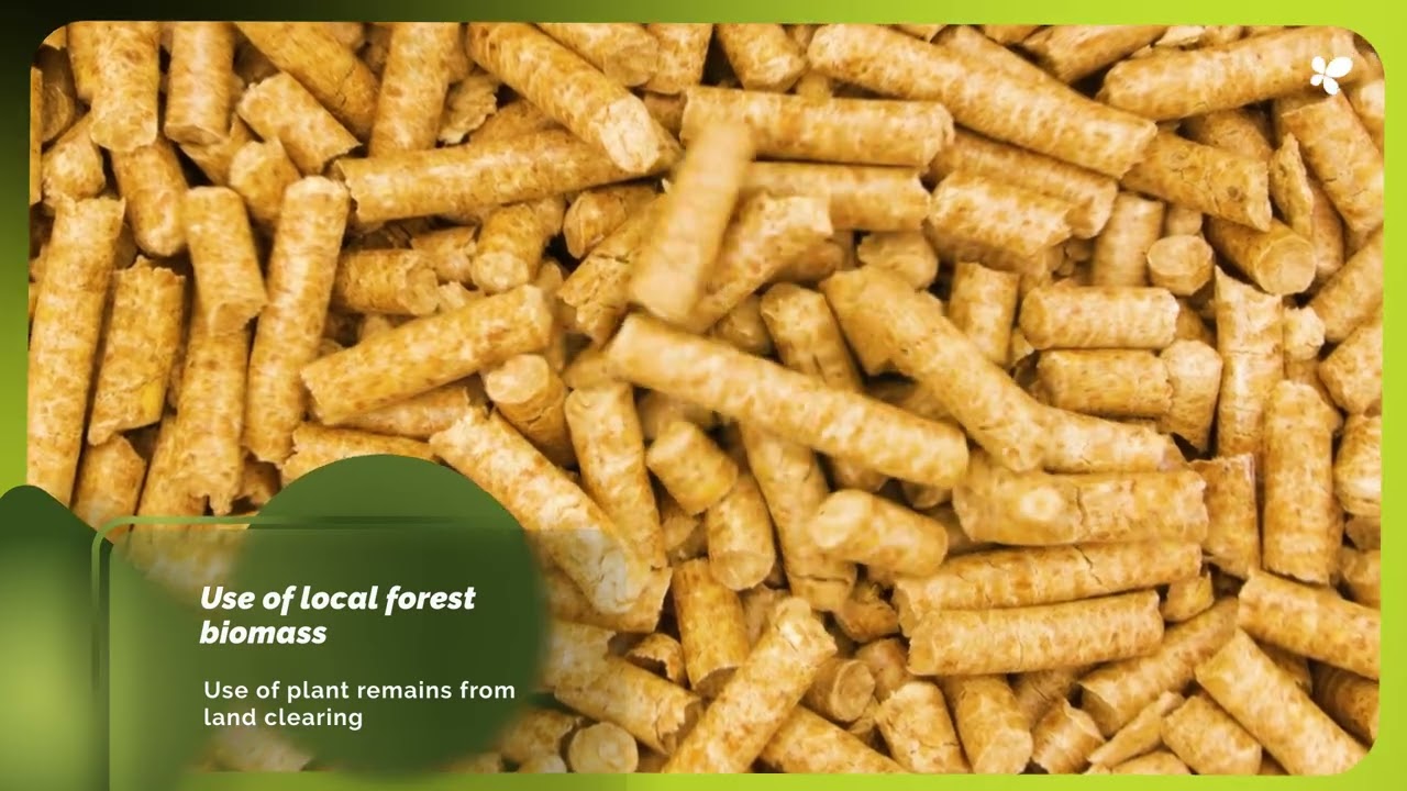 Forestry Management and Clean Energy in the Tramuntana Mountains