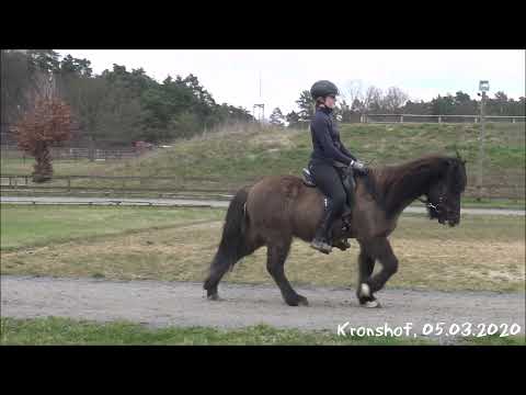 Maríus vom Kronshof