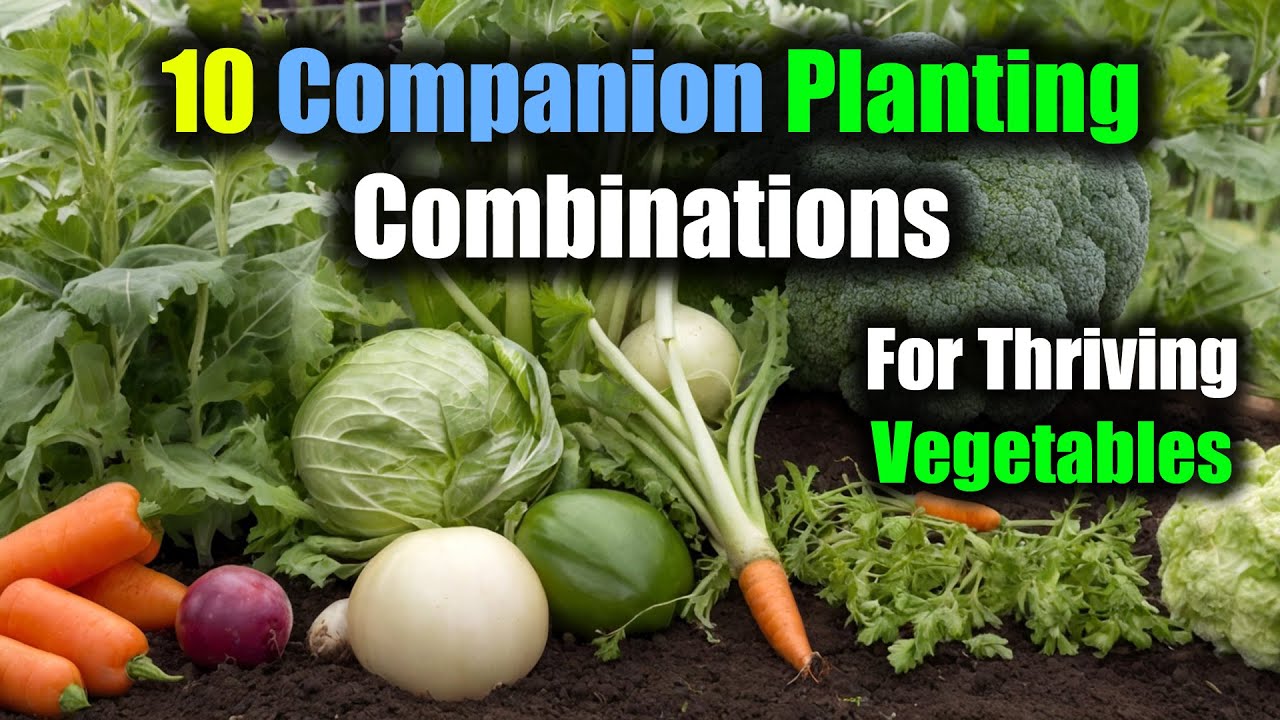 10 Perfect Companion Planting Combinations for Thriving Vegetables