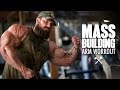 Mass Building Arm Workout