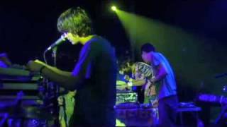 animal collective daily routine