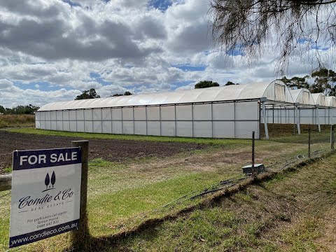 Park Street, INVERLEIGH