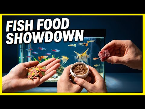 Best fish food: flakes, pellets, or alternatives?