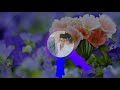 Ijazat Full Song One Night Stand Movie Song