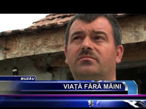 VIATA FARA MAINI