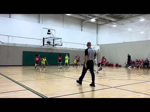 Vytis vs Transway u11 girls oblx