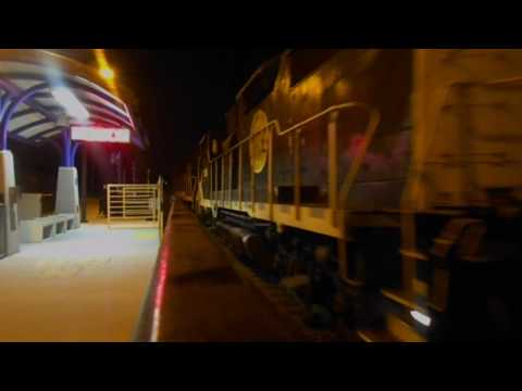 Pacsun catches of 2016