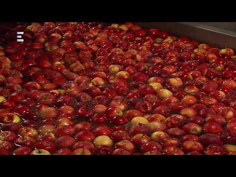 Csenger - Hazahúzó (2018-03-10) - ECHO TV